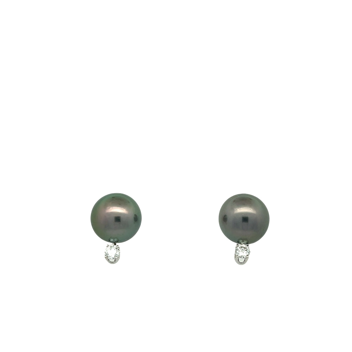 White Gold Tahitian Pearl Stud Earrings