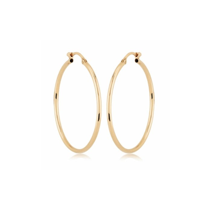 Yellow Gold Hoop Earrings