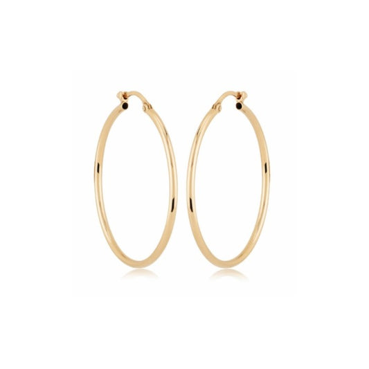 Yellow Gold Hoop Earrings