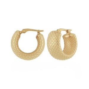 Gold Small Hoop Earrings