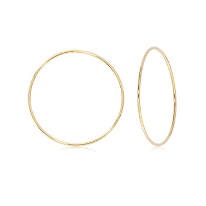 Yellow Gold Hoop Earrings