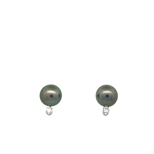 White Gold Tahitian Pearl Stud Earrings