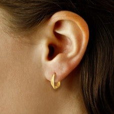 Yellow Gold Hoop Earrings